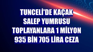 Tunceli'de kaçak salep yumrusu toplayanlara 1 milyon 935 bin 705 lira ceza