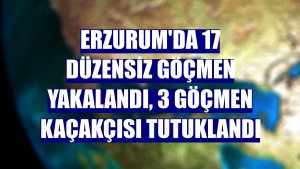 Erzurum'da 17 düzensiz göçmen yakalandı, 3 göçmen kaçakçısı tutuklandı