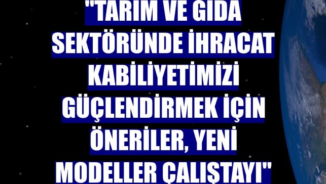 "Tarım ve Gıda Sektöründe İhracat Kabiliyetimizi Güçlendirmek için Öneriler, Yeni Modeller Çalıştayı"
