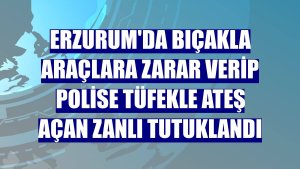 Erzurum'da bıçakla araçlara zarar verip polise tüfekle ateş açan zanlı tutuklandı