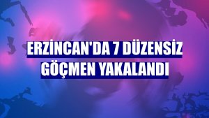 Erzincan'da 7 düzensiz göçmen yakalandı