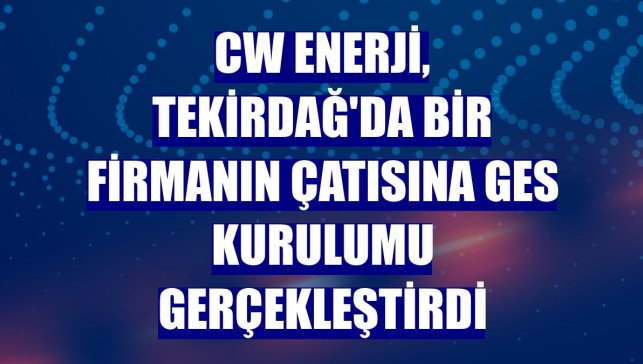 CW Enerji, Tekirdağ'da bir firmanın çatısına GES kurulumu gerçekleştirdi