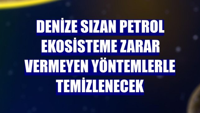 Denize sızan petrol ekosisteme zarar vermeyen yöntemlerle temizlenecek