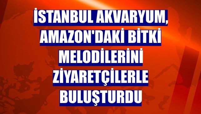 İstanbul Akvaryum, Amazon'daki bitki melodilerini ziyaretçilerle buluşturdu