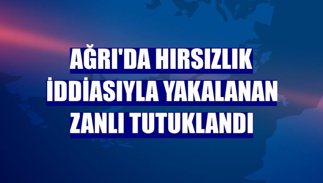 Ağrı'da hırsızlık iddiasıyla yakalanan zanlı tutuklandı