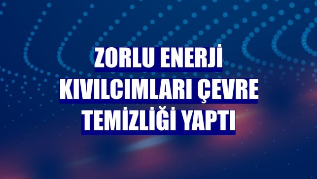 Zorlu Enerji Kıvılcımları çevre temizliği yaptı
