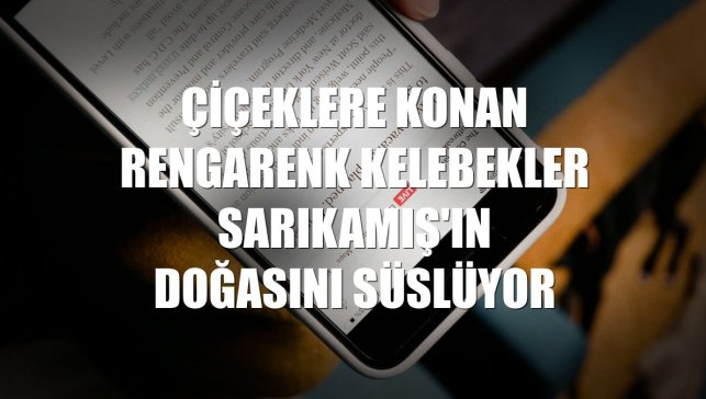 Çiçeklere konan rengarenk kelebekler Sarıkamış'ın doğasını süslüyor