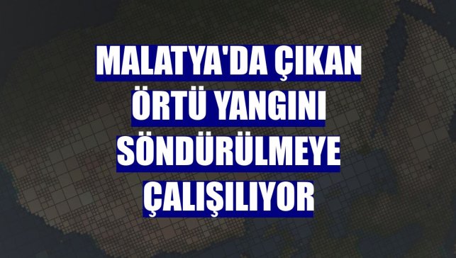 Malatya'da çıkan örtü yangını söndürülmeye çalışılıyor