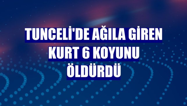 Tunceli'de ağıla giren kurt 6 koyunu öldürdü