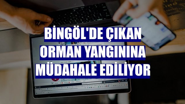 Bingöl'de çıkan orman yangınına müdahale ediliyor