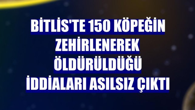 Bitlis'te 150 köpeğin zehirlenerek öldürüldüğü iddiaları asılsız çıktı