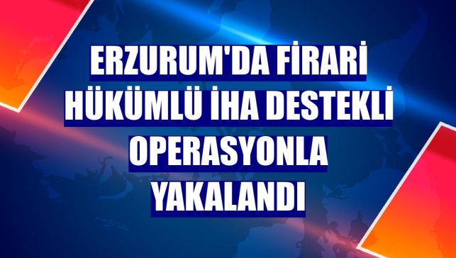 Erzurum'da firari hükümlü İHA destekli operasyonla yakalandı