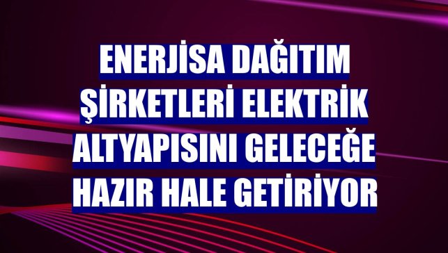Enerjisa Dağıtım Şirketleri elektrik altyapısını geleceğe hazır hale getiriyor