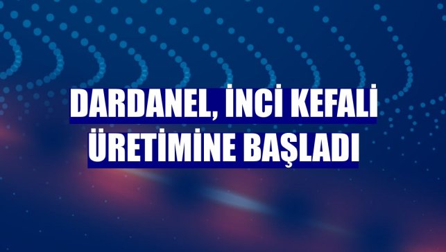 Dardanel, İnci Kefali üretimine başladı