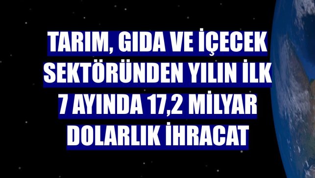 Tarım, gıda ve içecek sektöründen yılın ilk 7 ayında 17,2 milyar dolarlık ihracat