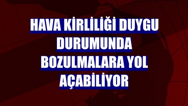 Hava kirliliği duygu durumunda bozulmalara yol açabiliyor