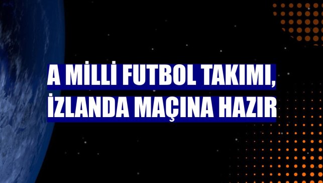A Milli Futbol Takımı, İzlanda maçına hazır