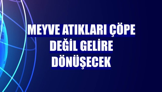 Meyve atıkları çöpe değil gelire dönüşecek
