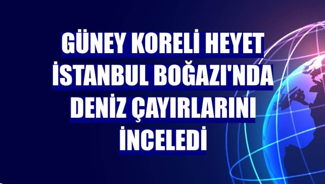 Güney Koreli heyet İstanbul Boğazı'nda deniz çayırlarını inceledi
