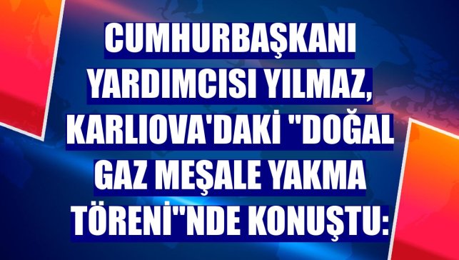 Cumhurbaşkanı Yardımcısı Yılmaz, Karlıova'daki "Doğal Gaz Meşale Yakma Töreni"nde konuştu: