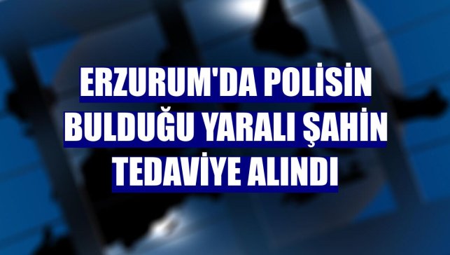 Erzurum'da polisin bulduğu yaralı şahin tedaviye alındı