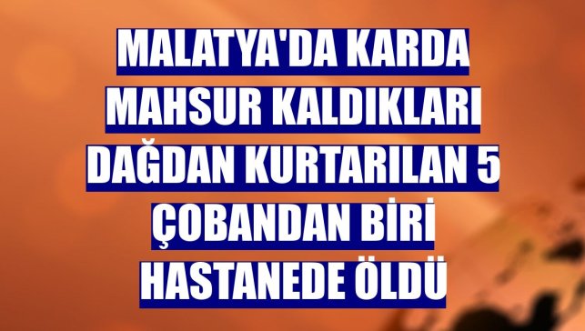 Malatya'da karda mahsur kaldıkları dağdan kurtarılan 5 çobandan biri hastanede öldü