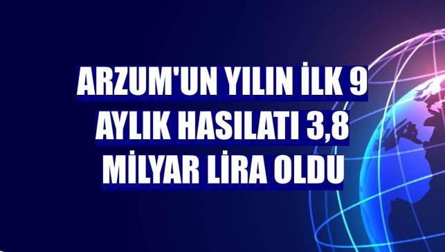 Arzum'un yılın ilk 9 aylık hasılatı 3,8 milyar lira oldu