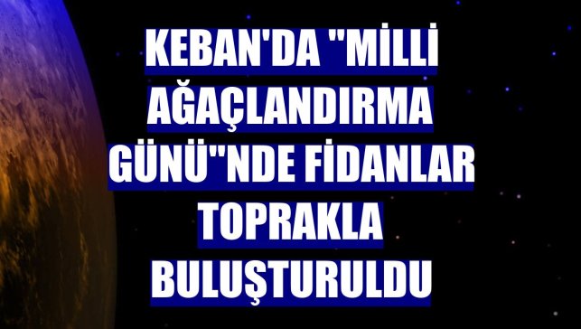 Keban'da "Milli Ağaçlandırma Günü"nde fidanlar toprakla buluşturuldu