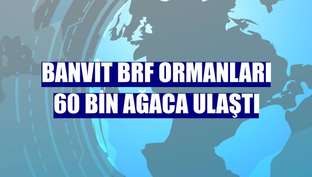 Banvit BRF Ormanları 60 bin ağaca ulaştı