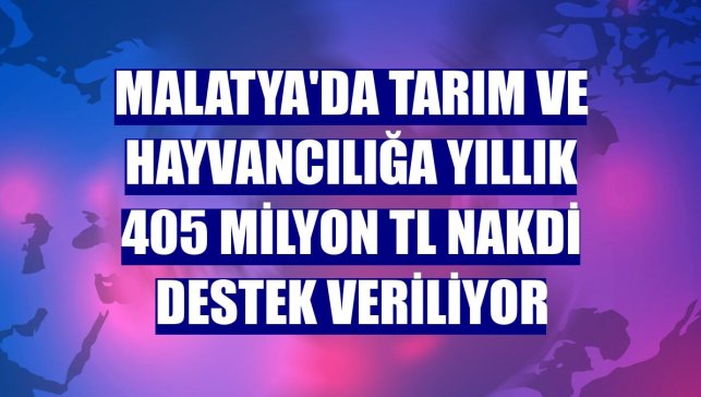 Malatya'da tarım ve hayvancılığa yıllık 405 milyon TL nakdi destek veriliyor