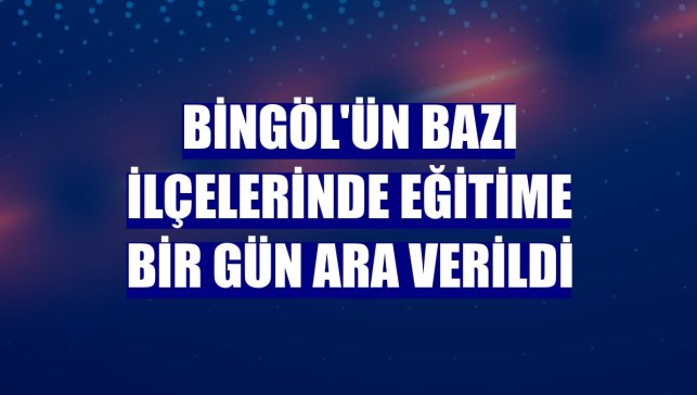 Bingöl'ün bazı ilçelerinde eğitime bir gün ara verildi