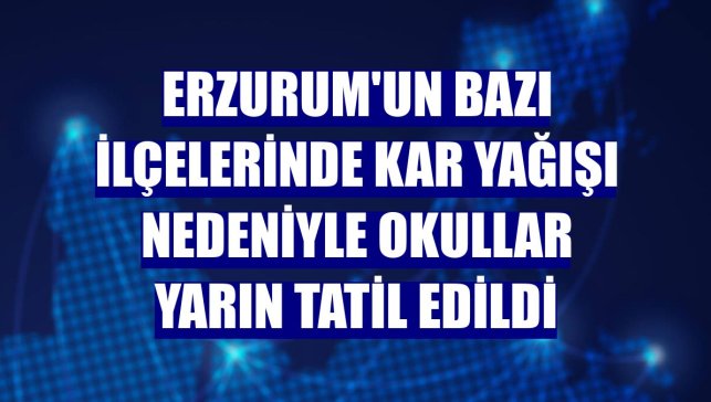 Erzurum'un bazı ilçelerinde kar yağışı nedeniyle okullar yarın tatil edildi