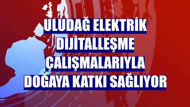 Uludağ Elektrik dijitalleşme çalışmalarıyla doğaya katkı sağlıyor