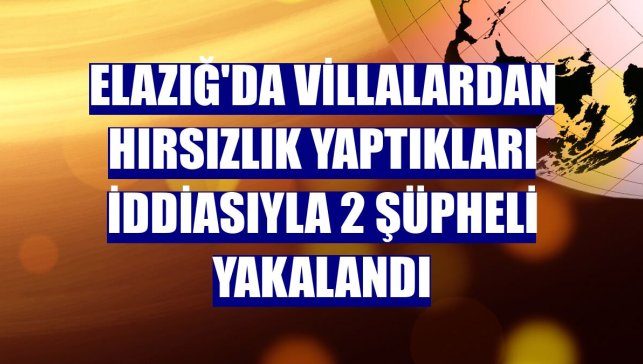 Elazığ'da villalardan hırsızlık yaptıkları iddiasıyla 2 şüpheli yakalandı