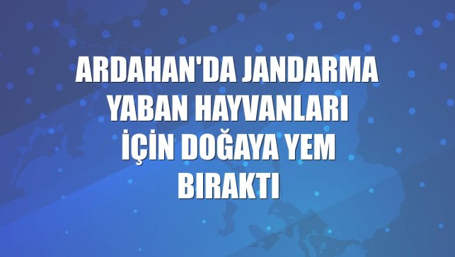 Ardahan'da jandarma yaban hayvanları için doğaya yem bıraktı