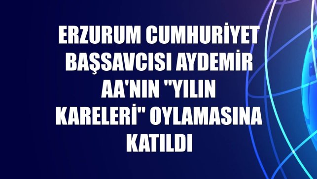 Erzurum Cumhuriyet Başsavcısı Aydemir AA'nın "Yılın Kareleri" oylamasına katıldı