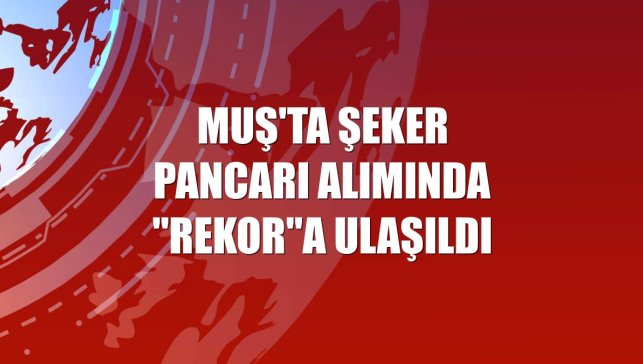 Muş'ta şeker pancarı alımında "rekor"a ulaşıldı