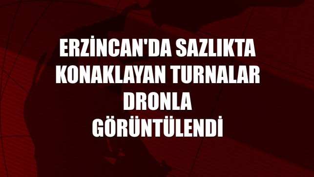 Erzincan'da sazlıkta konaklayan turnalar dronla görüntülendi