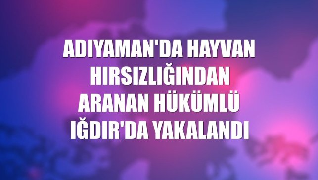 Adıyaman'da hayvan hırsızlığından aranan hükümlü Iğdır'da yakalandı