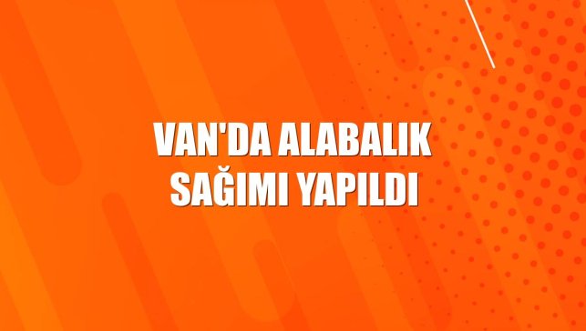 Van'da alabalık sağımı yapıldı