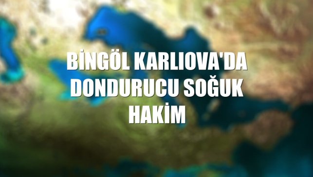 Bingöl Karlıova'da dondurucu soğuk hakim