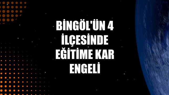 Bingöl'ün 4 ilçesinde eğitime kar engeli