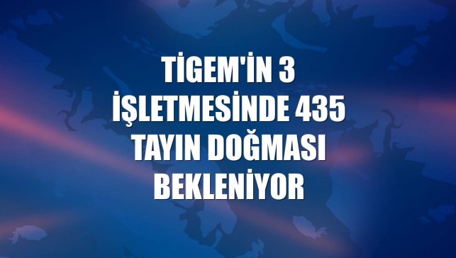 TİGEM'in 3 işletmesinde 435 tayın doğması bekleniyor