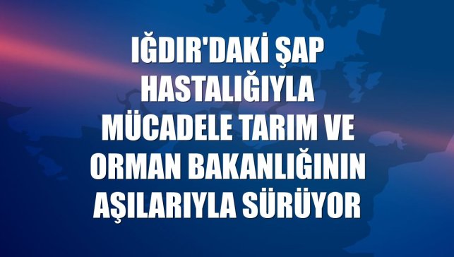 Iğdır'daki şap hastalığıyla mücadele Tarım ve Orman Bakanlığının aşılarıyla sürüyor