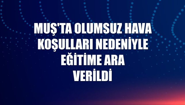 Muş'ta olumsuz hava koşulları nedeniyle eğitime ara verildi