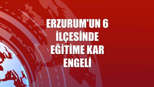 Erzurum'un 6 ilçesinde eğitime kar engeli
