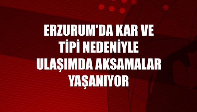 Erzurum'da kar ve tipi nedeniyle ulaşımda aksamalar yaşanıyor