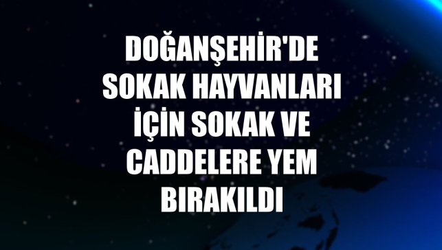 Doğanşehir'de sokak hayvanları için sokak ve caddelere yem bırakıldı