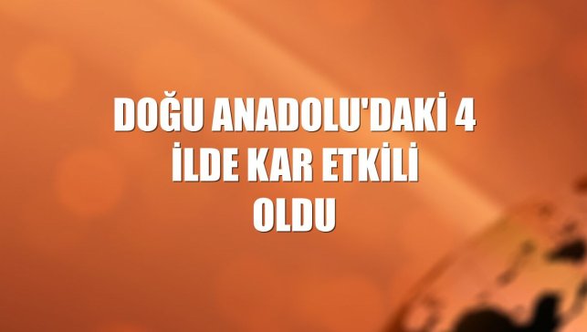 Doğu Anadolu'daki 4 ilde kar etkili oldu