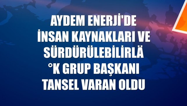Aydem Enerji'de İnsan Kaynakları ve Sürdürülebilirlik Grup Başkanı Tansel Varan oldu